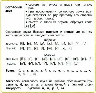 Слово мягкая разобрать