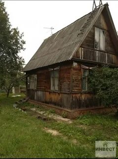 Сады дорожник