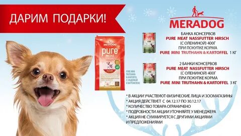 Корм акции