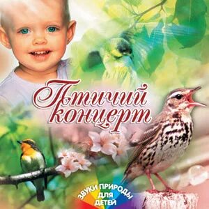Музыка для детей лесные