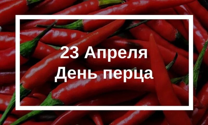 День перца. День перца 23 апреля. Сегодня днем перец. Открытка с перцем. Перец муженек