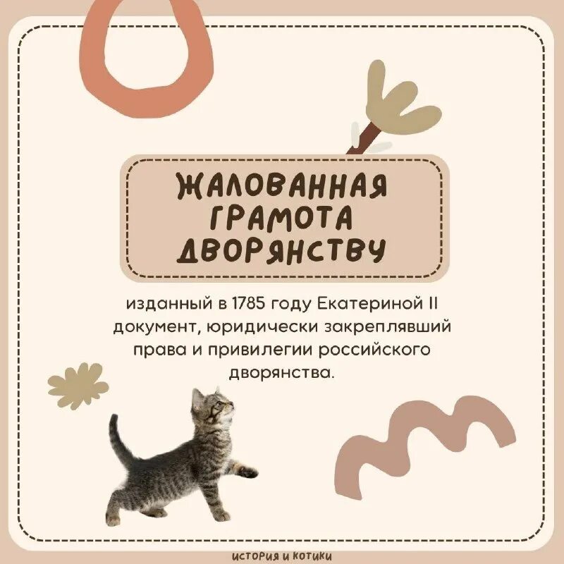 история котиков егэ