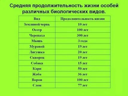 Сколько живут лады