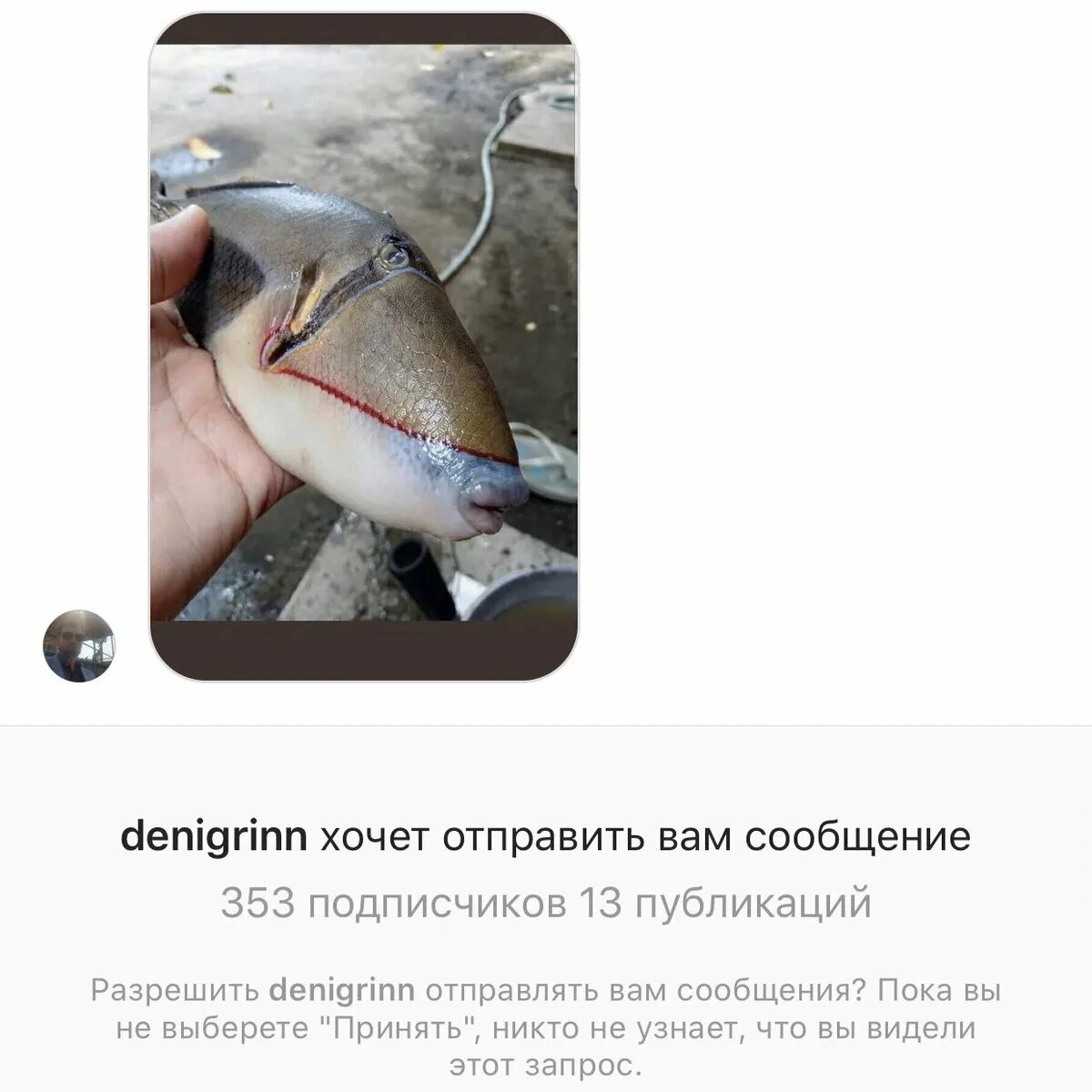 Дикпик мем. Дикпик мем