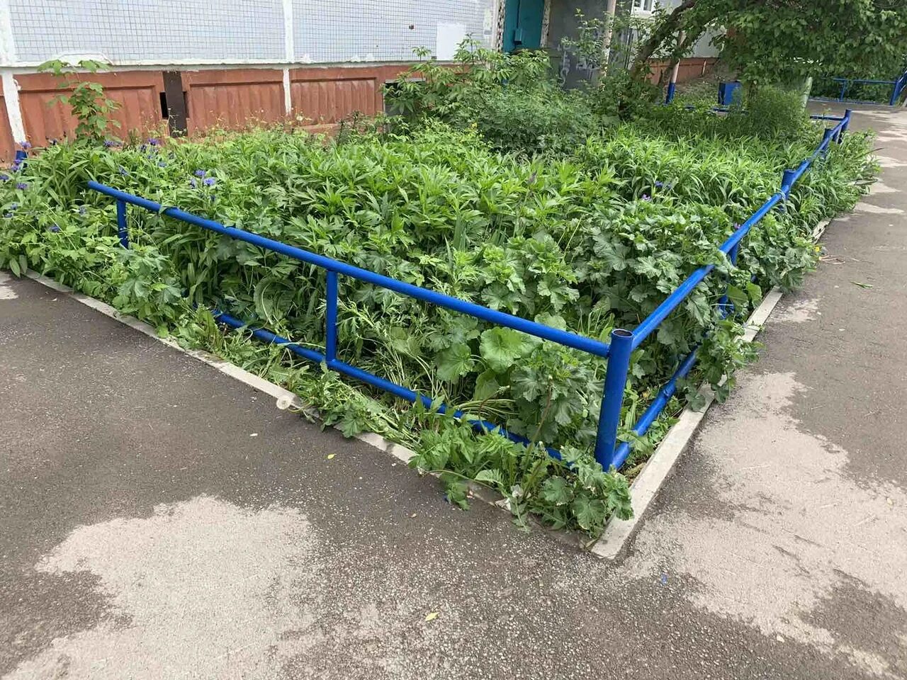 Оградить придомовую территорию
