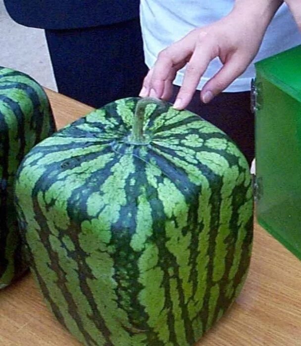 Какого цвета бывают арбузы внутри