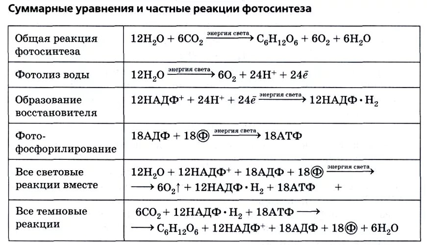 Суммарная реакция процесса