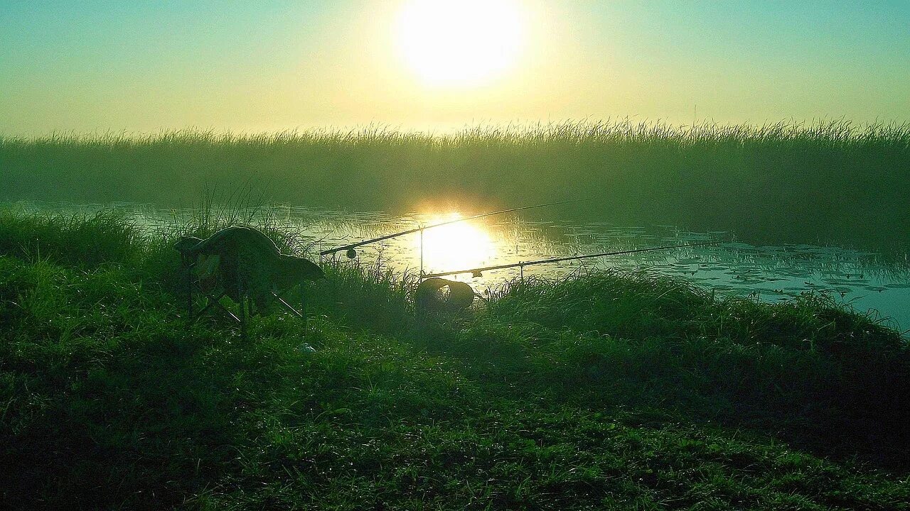 закинуть удочку. мальчик на закате. девушка ловит бабочек. платная рыбалка вывеска. девочка ловит облако.