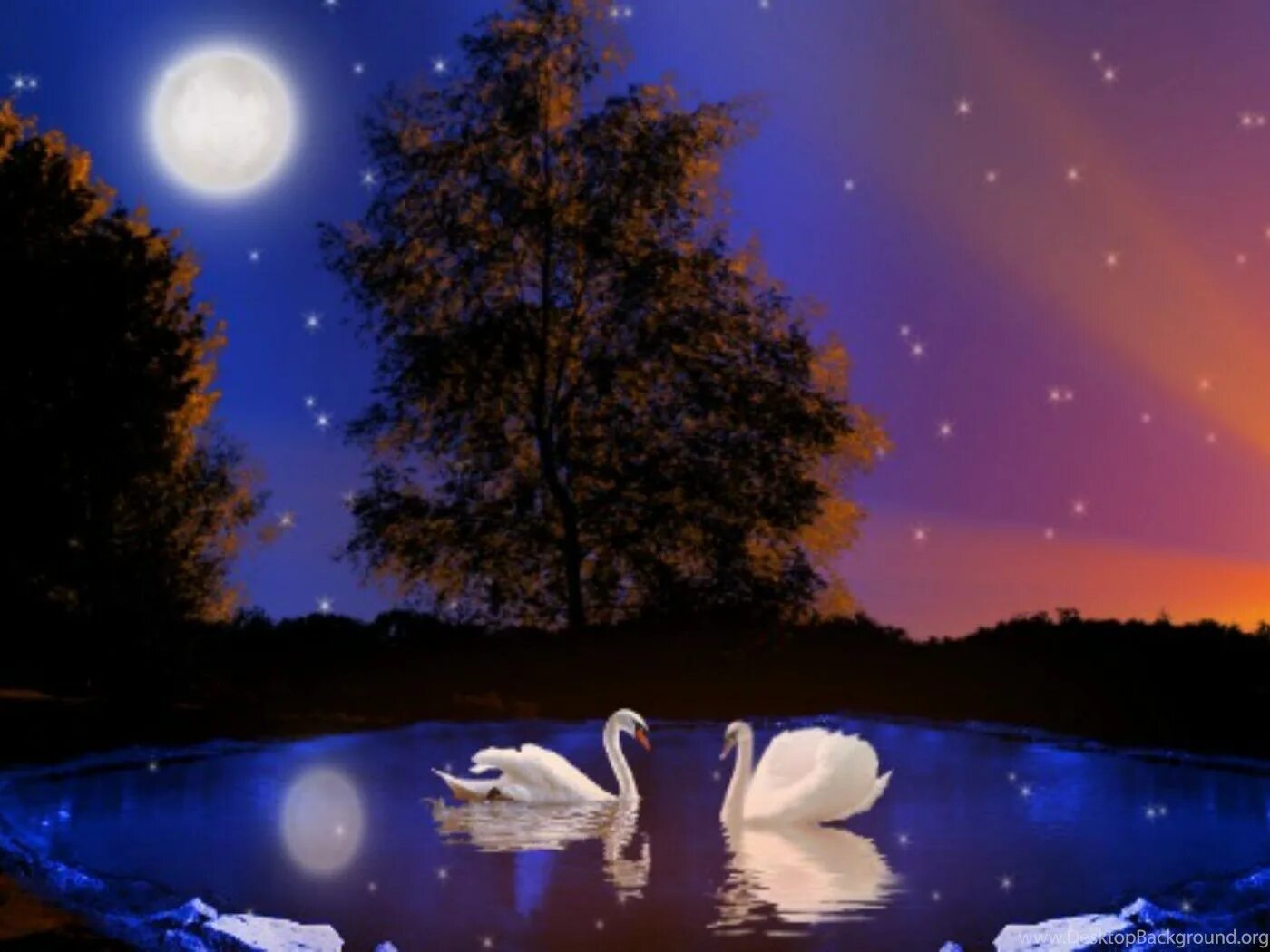 Тихой красивой ночи. Прекрасной весенней ночи. Лето ночь Луна. Лунная Весенняя ночь. Добрый вечер на фоне природы.