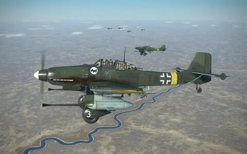 F 81