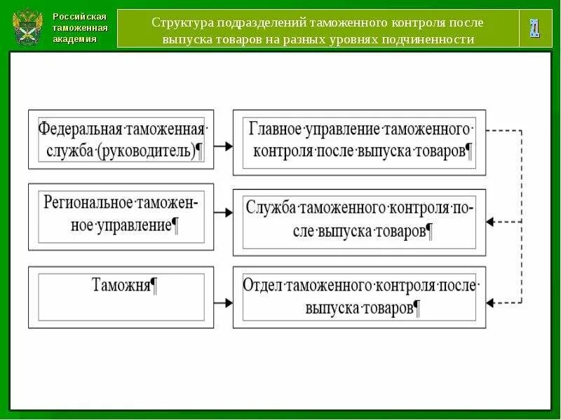 После выпуска прав. Структура таможенного контроля. Структура таможенный контроль после выпуска товаров. Таможенный контроль схема. Органы таможенного контроля.