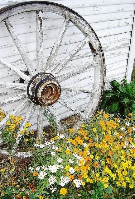 How to Transplant Bulbs in the Spring Recycled tyres garden, Tire garden, Diy ga