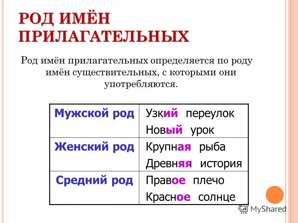 Имя существительное 1 склонение мужской род