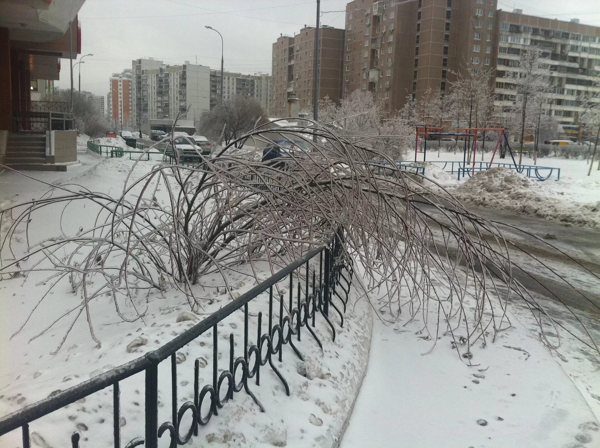 Когда был ледяной дождь. Ледяной дождь в москве 2010. ледяной дождь в москве в 2010 году. 2010 год, декабрь. ледяной дождь в россии. ледяной дождь в россии 2010 год.