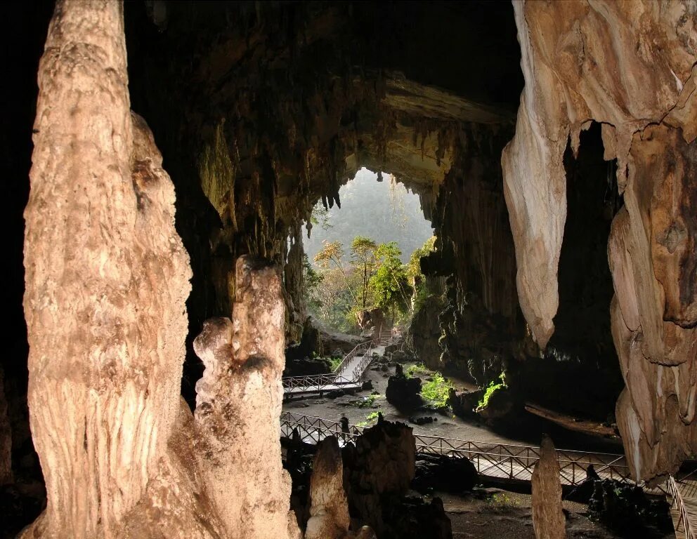 Парк Эль-Гуачаро. Пещера Эль-Гуачаро. Пещера гуахаро Венесуэла. Парк Эль-Гуачаро (г. Монагас).