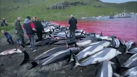 Островом убийств
