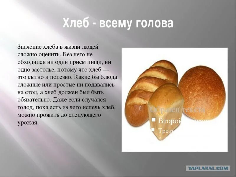 Составить текст хлеб всему голова. Проект про хлеб. Презентация по теме хлеб всему голова. Доклад про хлеб. Сообщение о хлебе.