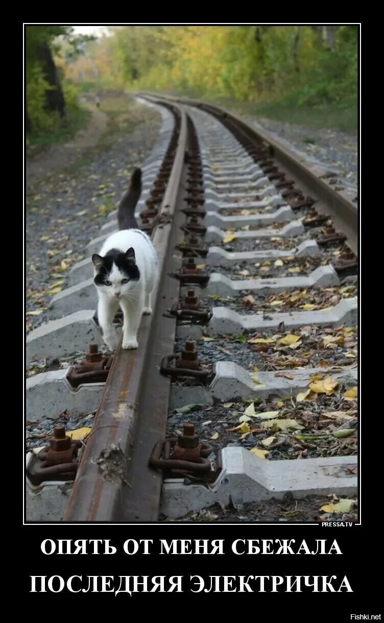 От меня сбежала последняя. Доить лохов. Опять нас доят как лохов. Текст песни последняя электричка. Текст песни нас связала.