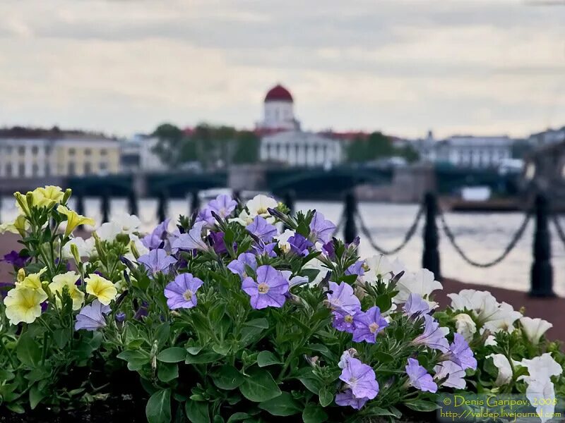 Санкт-Петербург весной. Весенний Петербург. Петербург в мае.