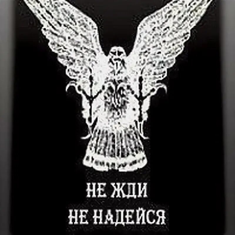 Слова не верь не проси. Не верь не бойся не проси на английском. Не бойся не проси. Цитата не верь не бойся не проси. Слова не верь не проси.