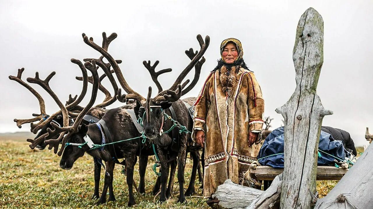 Ненцы Ямал шаман. Священные места ненцев Ямал. Идолы ненцев. Ямал кочевье оленеводов.