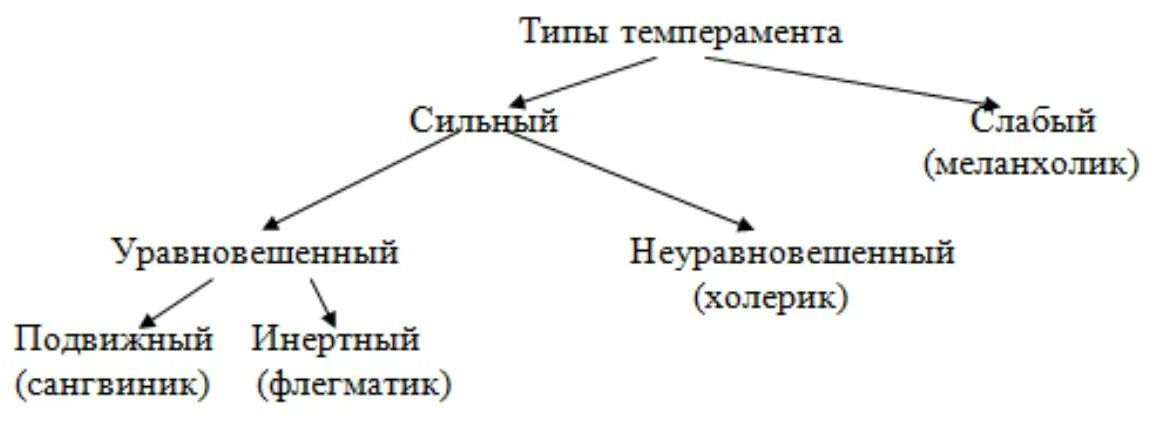 Типах темперамента и п павлова