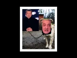 Не лает не кусается песня. Не лает не кусается песня