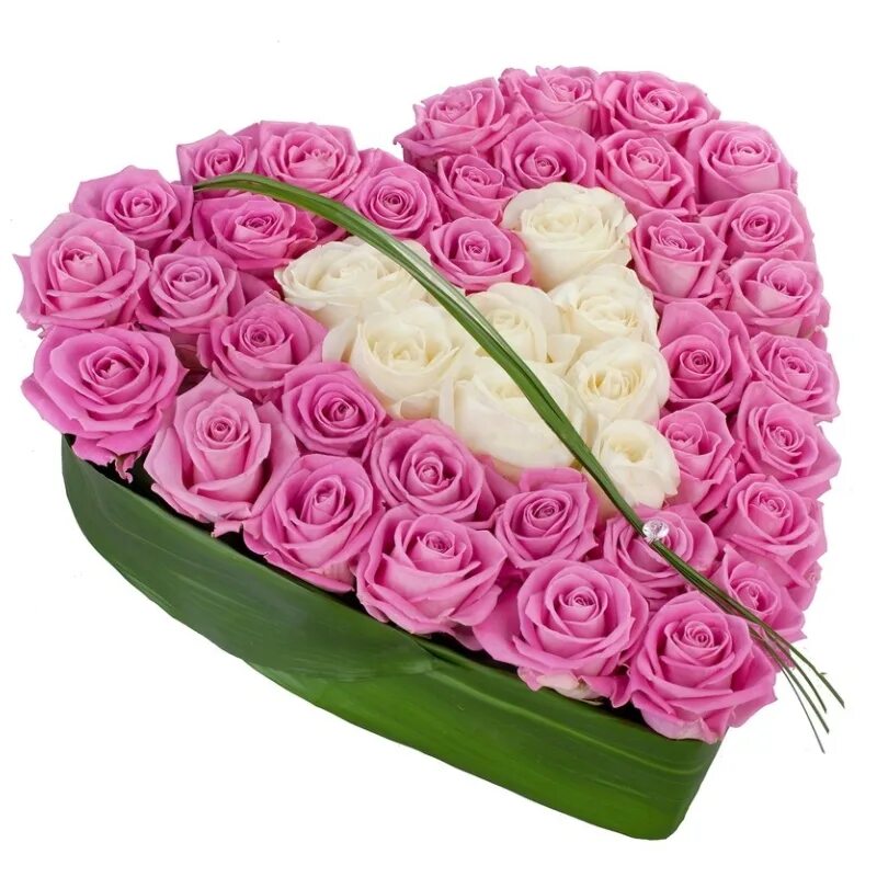 Цветы букет роз купить. Букет роз. Букет из роз сердечком. Необычные розы букет.