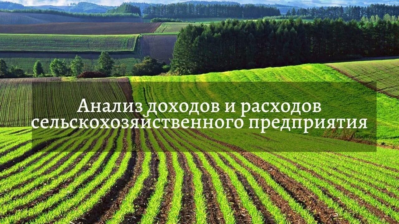 Формирование доходов. Размер прибыли сельскохозяйственных организаций. Расчет прибыли в сельском хозяйстве. Системы налогообложения для сельхозпроизводителей. Доходы сельскохозяйственного производства.