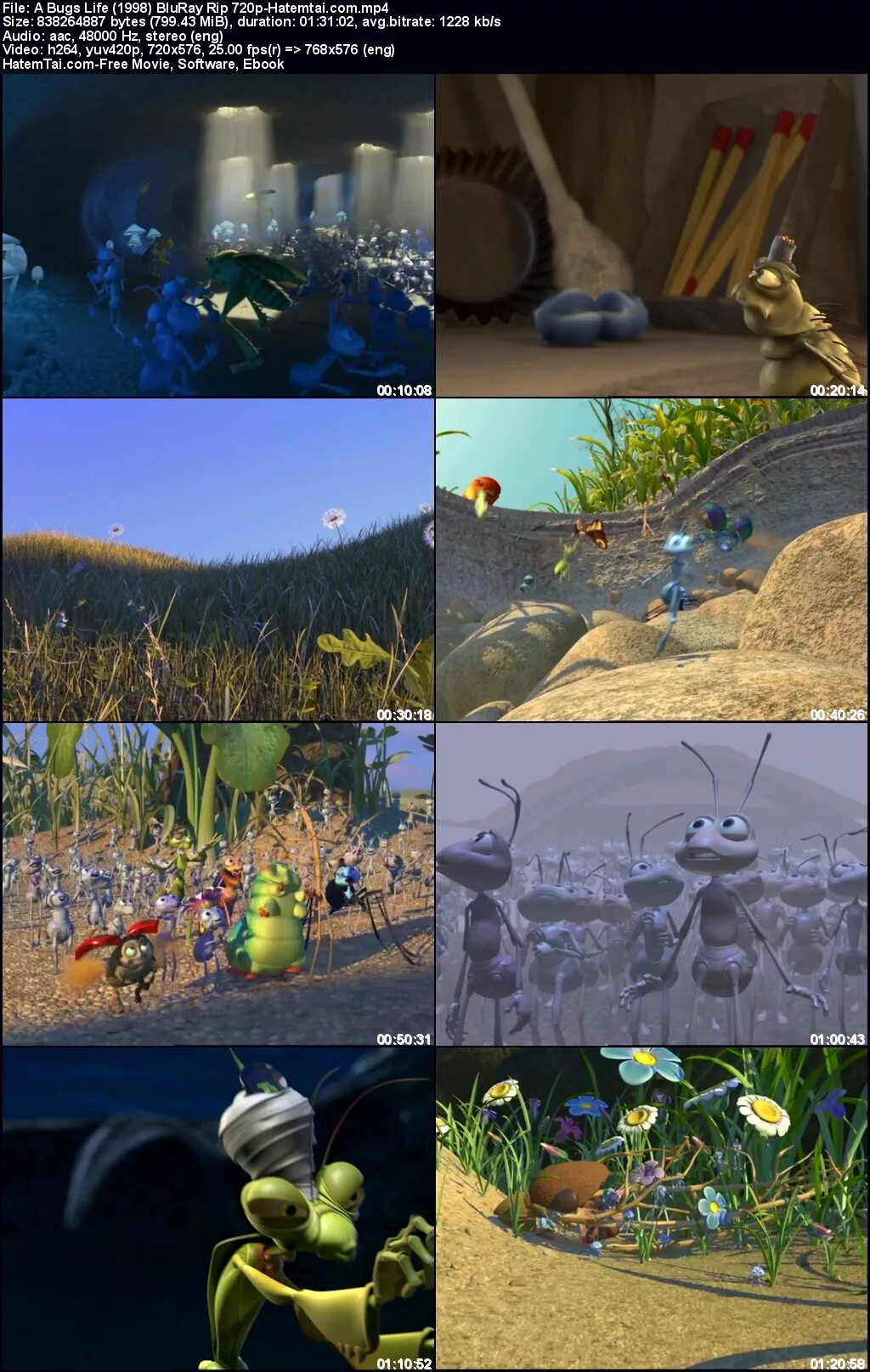 A bug перевод. A bug&#039;s life 1998. a bug&#039;s life 1998 розвыя. bugs life сега. персонажи bugs life.