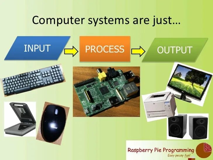 Монитор устройство ввода. Input devices of computer. Input and output devices of computer. Устройства ввода информации. Input computers.
