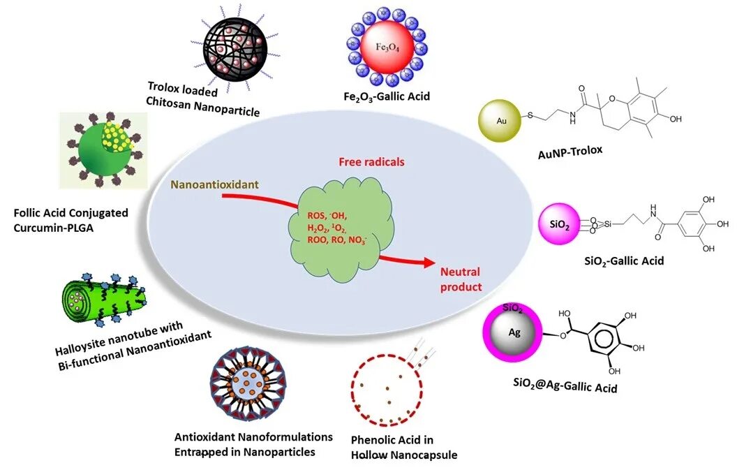 Antioxidant journal. Antioxidant activity. антиоксиданты это. антиоксиданты на английском. эвгенол антиоксидант.