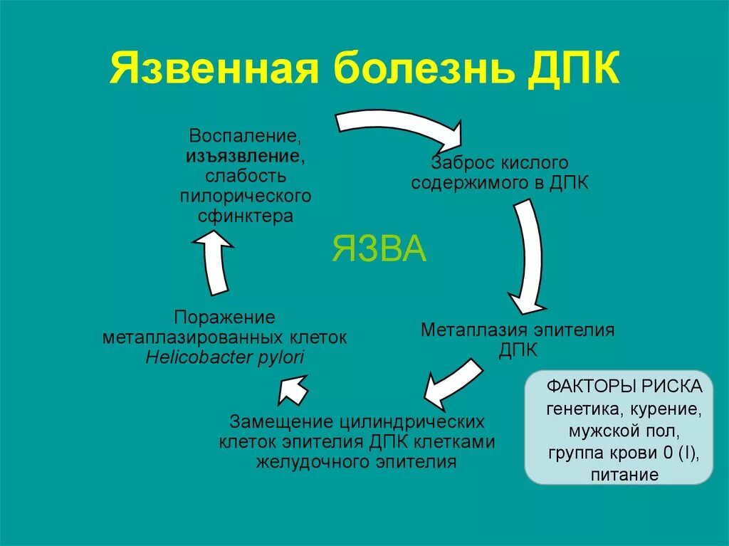 Фазы язвы. Факторы язвенной болезни. степени язвенной болезни дпк. корника язвы дпк.