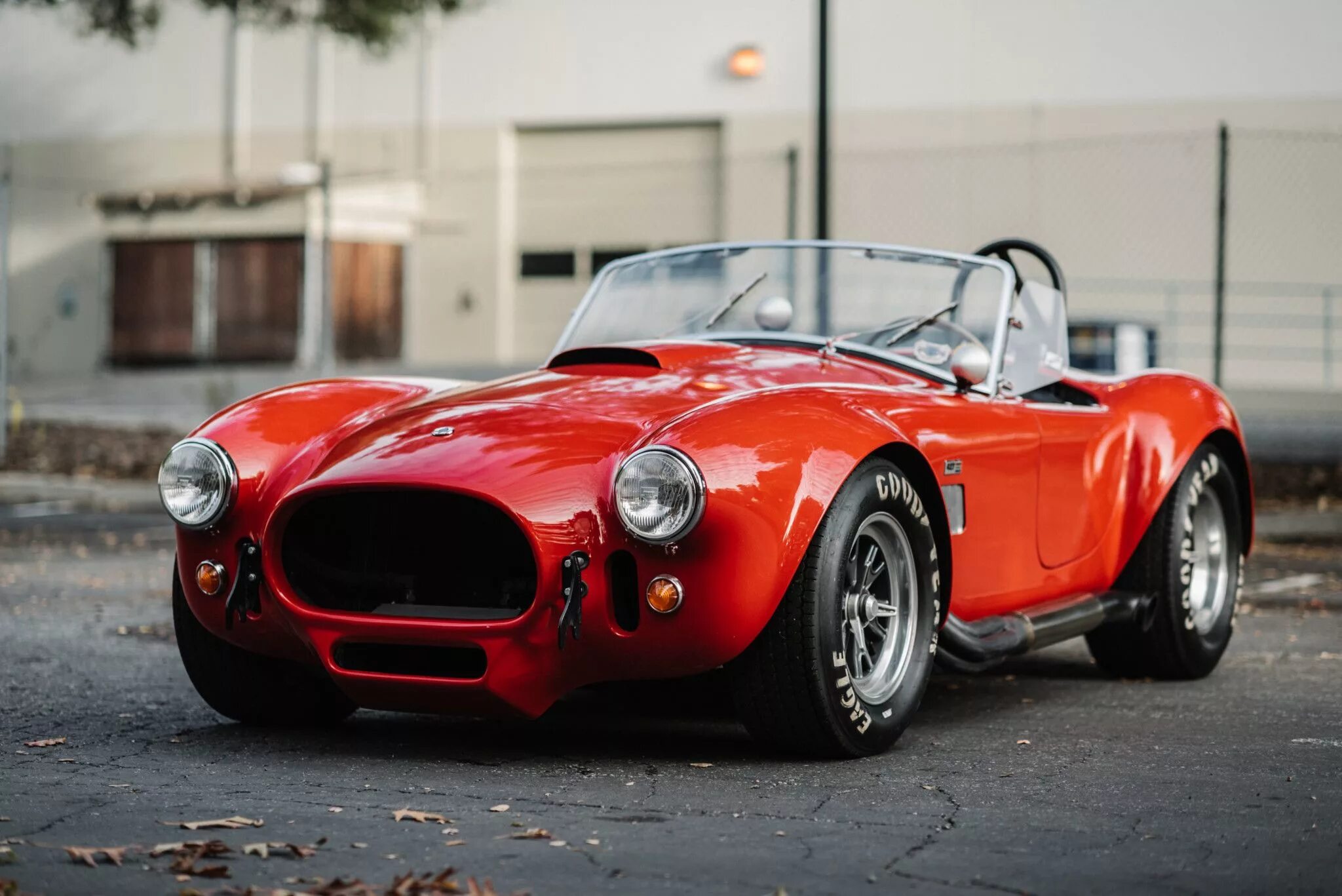 Cobra c. Диски Шелби Кобра. Shelby Cobra 427 s/c 1965 Replica. Автомобиль Kirkham 427. Snake машина.