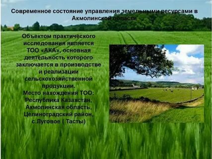 Управление земельными ресурсами город ижевск