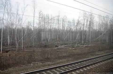 Погода в черустях