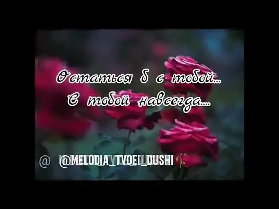 Не рви цветы завянут цветы слушать. Не рви цветы завянут. не рви цветов они завянут. песня не рви цветы завянут они. не рви цветы они завянут не верь бледям они обманут.