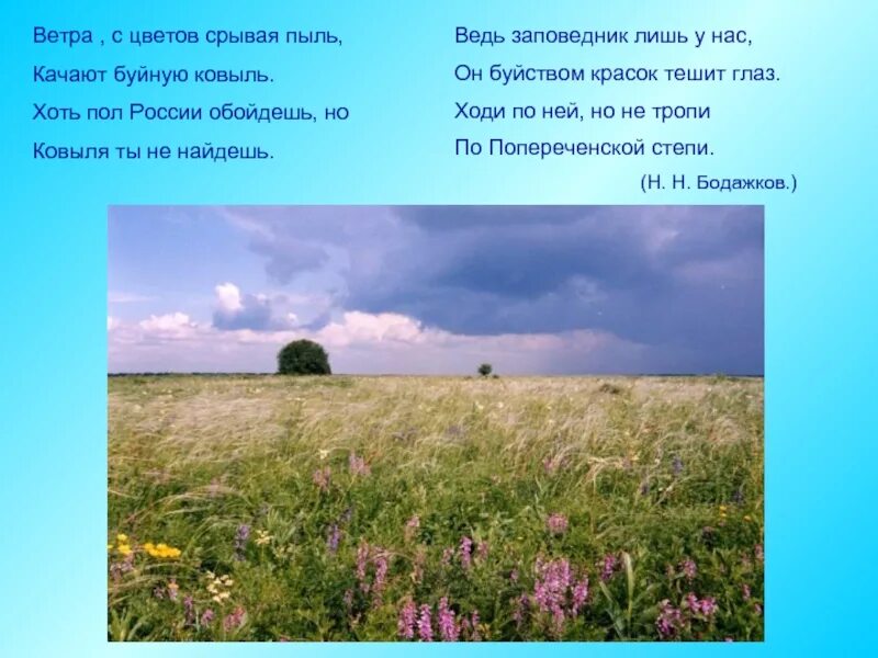 Цвет ветра песня. Попереченская степь заповедник. Попереченская степь Пензенская. Сильный ветер в цветущей степи. Стихи про степь.