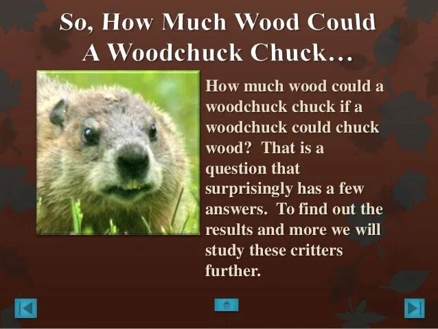 Woodchuck Chuck. How much Wood could a Woodchuck Chuck. Woodchuck скороговорка. How much Wood would a Woodchuck Chuck скороговорка.