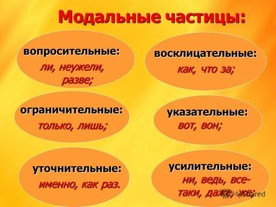 Укажите вопросительную частицу только именно бы неужели