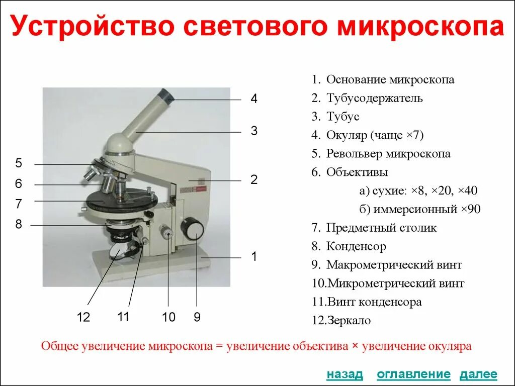 Световой микроскоп строение конденсор. Окуляр микроскопа строение микроскопа. Строение светового микроскопа механическая оптическая. Строение микроскопа макровинт.