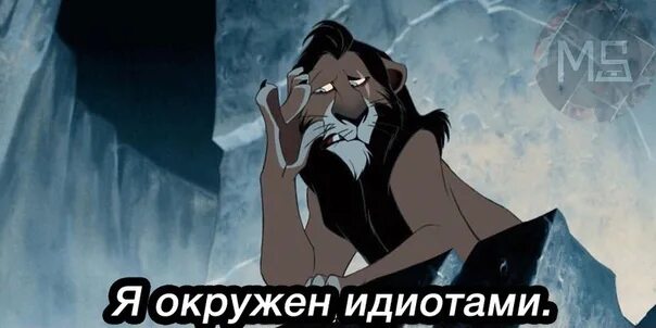 Шрам король лев gif меня окружают идиоты. Король лев шрам я окружен идиотами. Шрам я окружен идиотами. Меня окружают одни дебилы. Меня окружают идиоты.