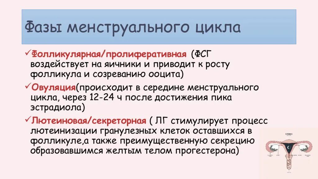 1 Фаза менструального цикла. Фащы менструальногтцикла. Менструальный цикл в норме фазы. Этапы менструационного цикла. Как вызвать цикл месячных