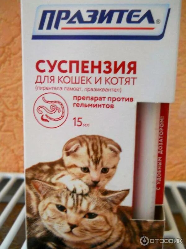 Шприц дозатор празител. Празител для кошек инструкция. Празител для кошек инструкция. Празител для котят суспензия дозировка. 1 мл суспензии празител для кошек.