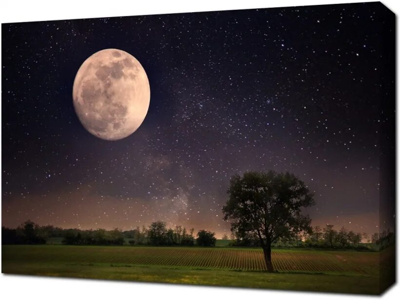Lua time