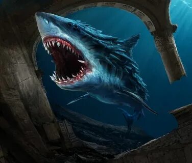 Shark playlist