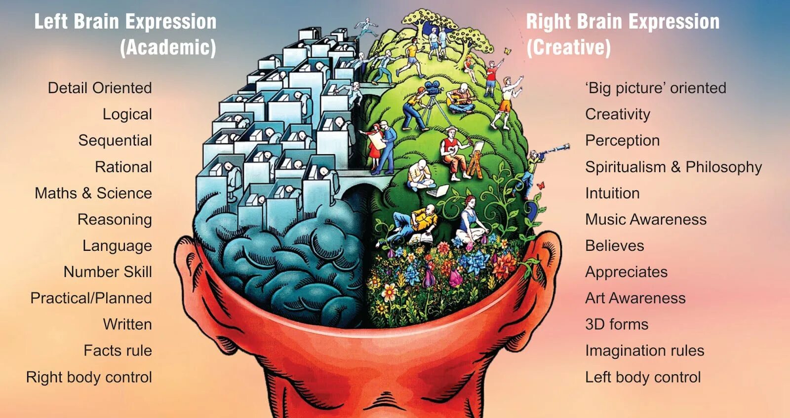 Left Brain. Left Brain right Brain. Left right Side of Brain. Left and right Brain functions. Brain now