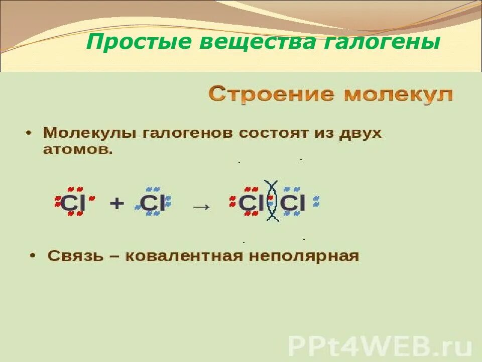 Молекулы галогенов состоят из 2 атомов. Строение простых веществ галогенов. галогены простые вещества строение молекул. строение атомов галогенов. галогены – простые вещества.. строение молекул галогенов.