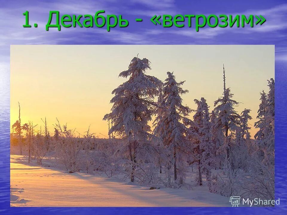 названия зимних явлений. неживая природа. весенние явления природы. сезонные изменения в природе осень. неживая природа картинки.