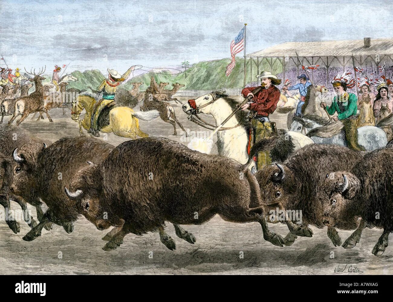 Буффало Билл и бизоны. Буффало Билл и истребление бизонов в Америке. Баффало Билл бизоны. Гора черепов бизонов 1870. Толпа бизонов сканворд